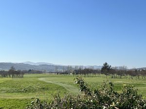 Photo 2- click for photo gallery